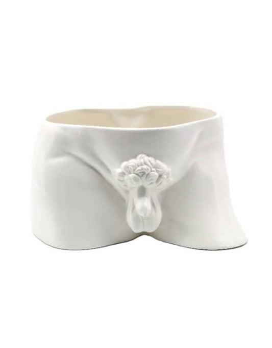 ITALIAN STALLION — white ceramic Roman privates pot Statue of David inspired | Morning Glories | Missy K